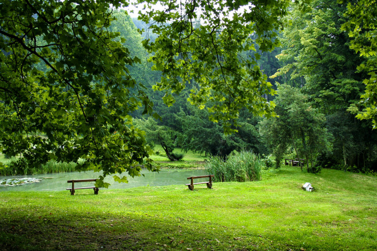 A püspökszentlászlói püspöki kastély és arborétum