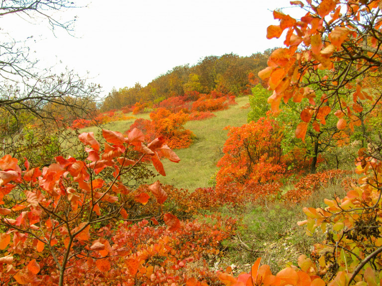 Színes szőlőskertek hívogatnak