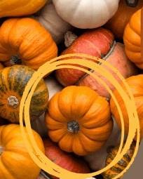 Lezárult a sütőtökös receptek beküldésének határideje