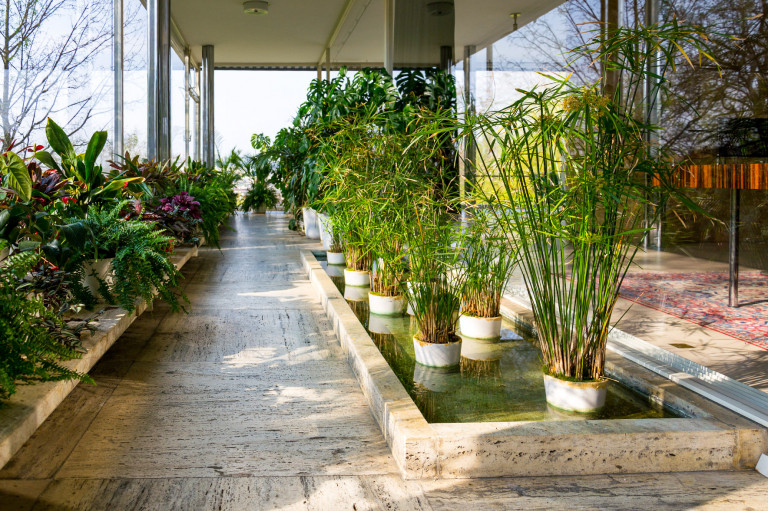 Kerti növényeink beltéri teleltetése