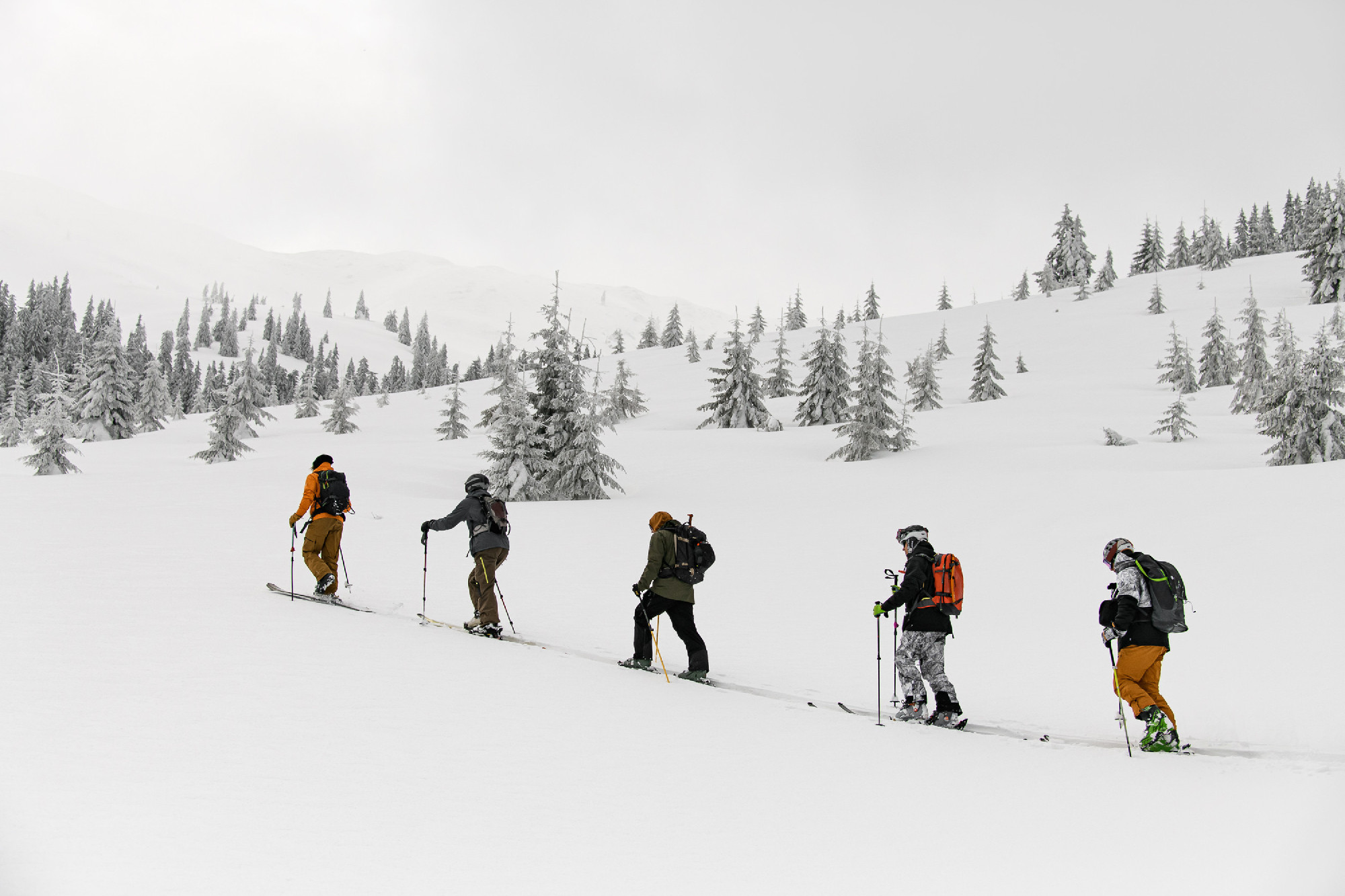 side view of group of male skiers hiking on skis in snow. Touris