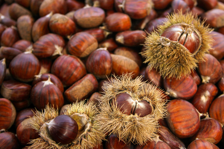 Gesztenyés receptek