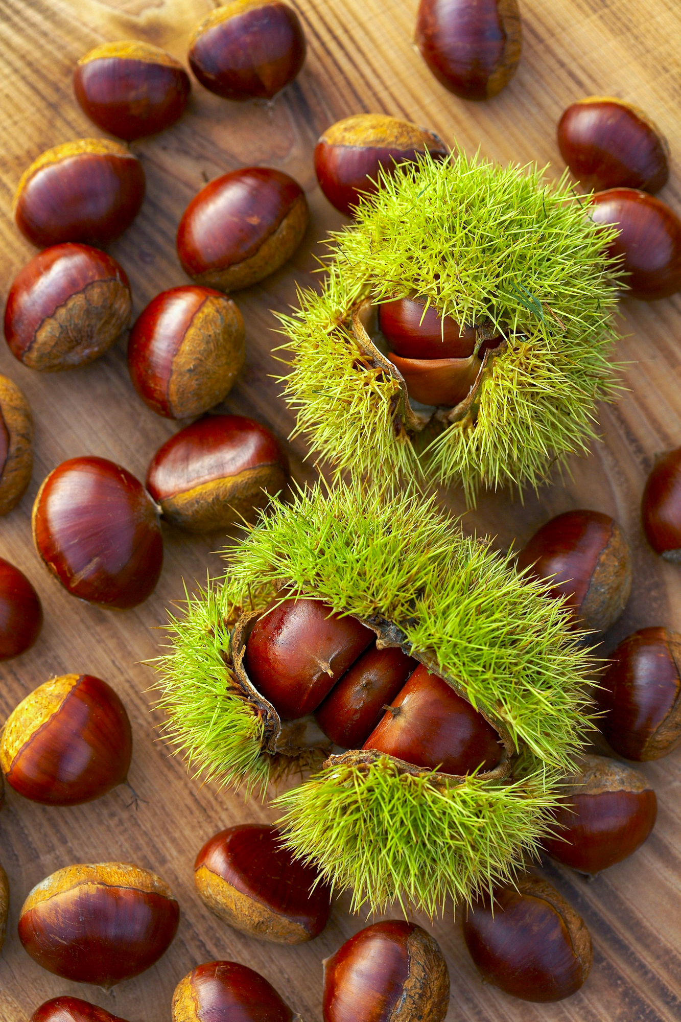 Gesztenyés receptek