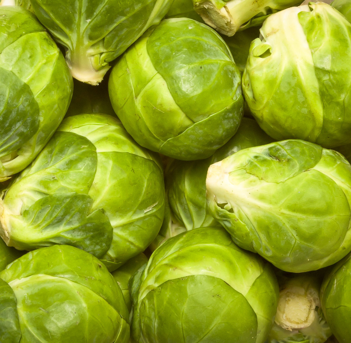 Az utolsó konyhakerti lakók felhasználása