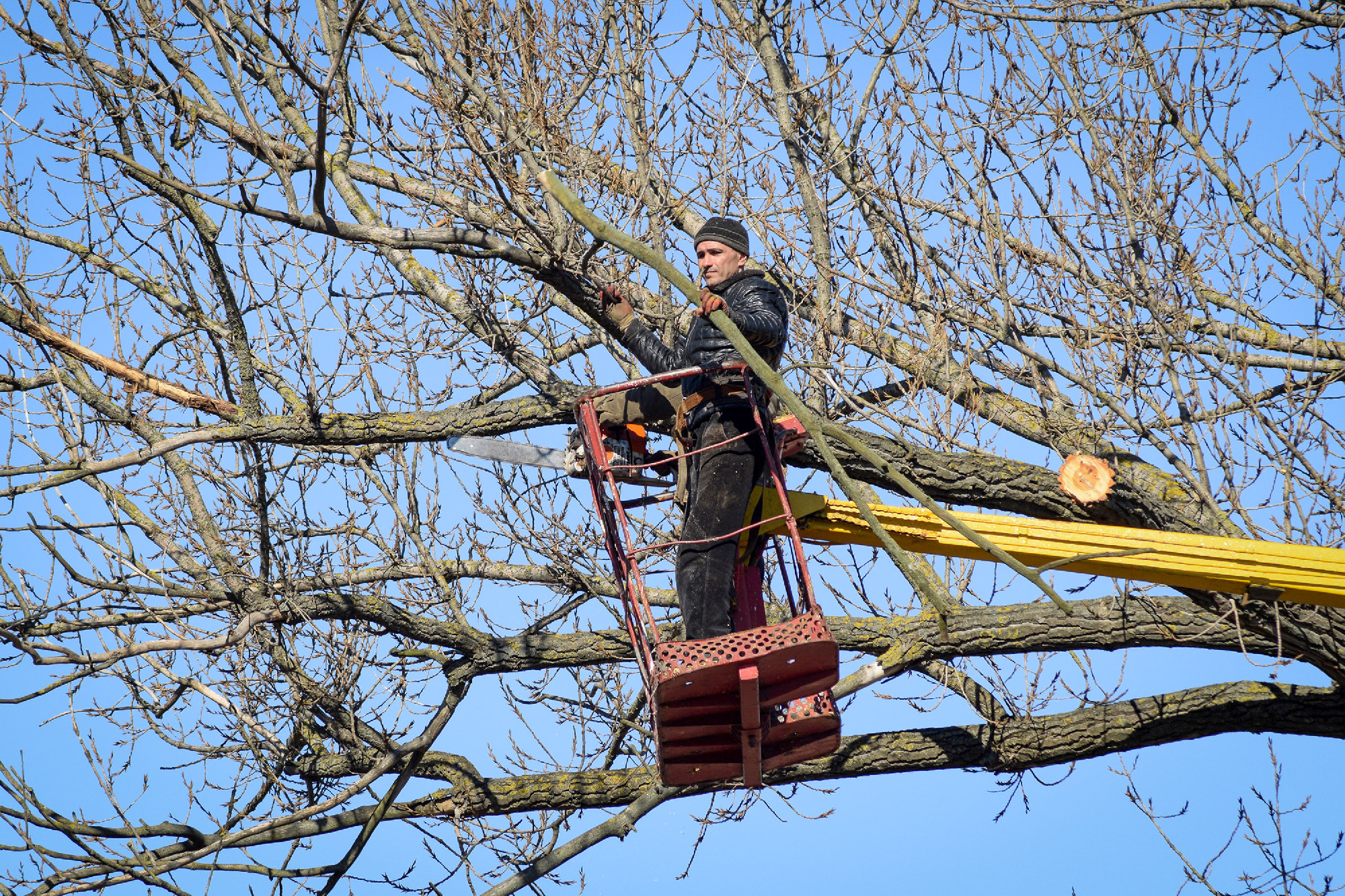 Koronaritkító metszés