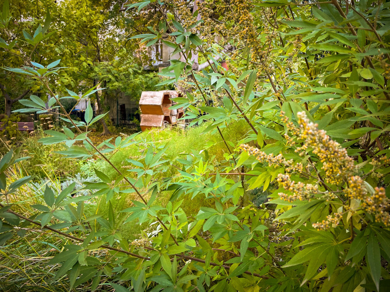 Égig érő fű a nagyváros betondzsungelében