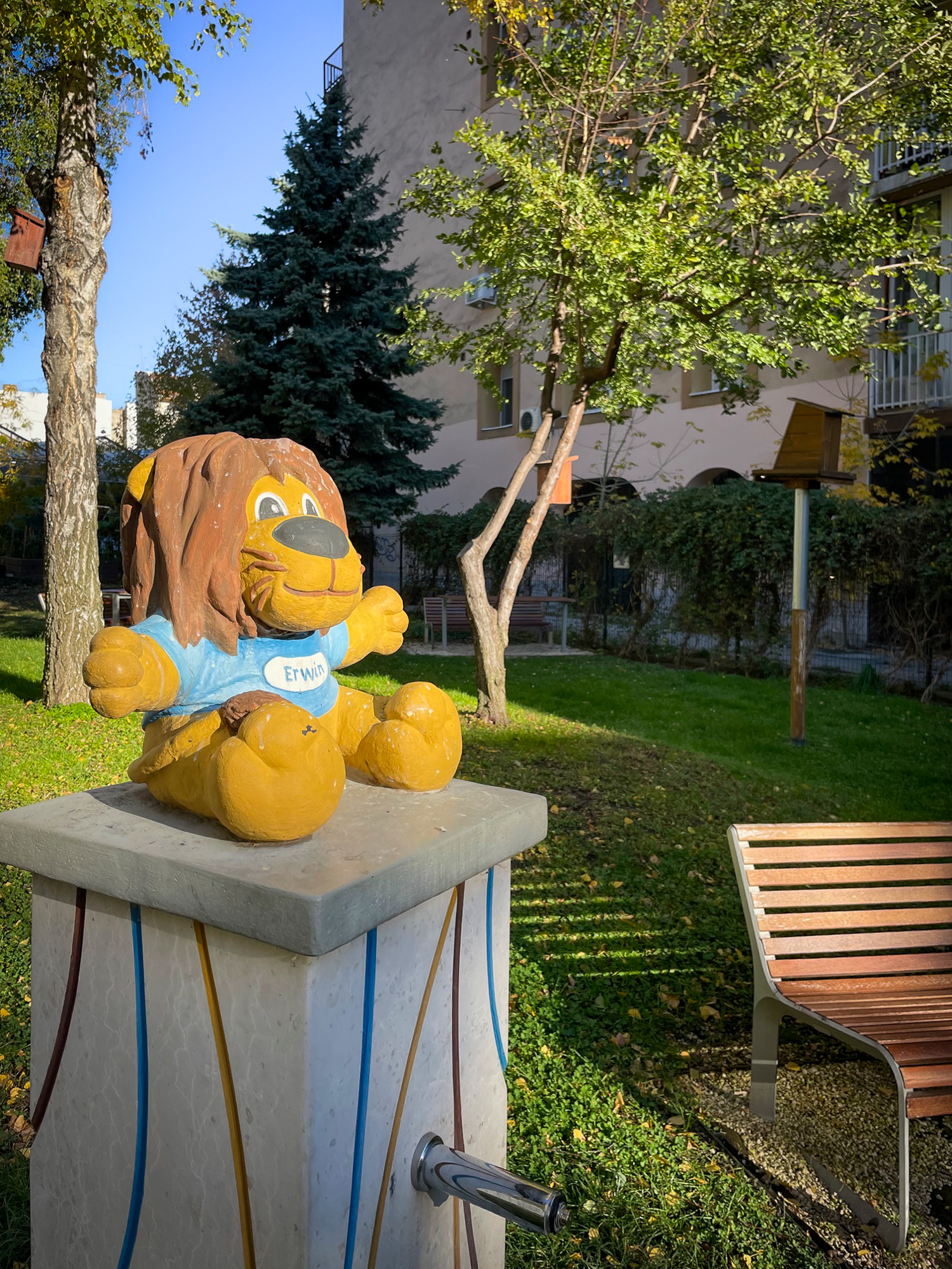 Égig érő fű a nagyváros betondzsungelében