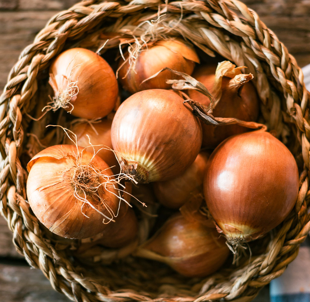 Makó aranya – a hagyma, amely történelmet írt