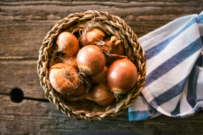 Makó aranya – a hagyma, amely történelmet írt