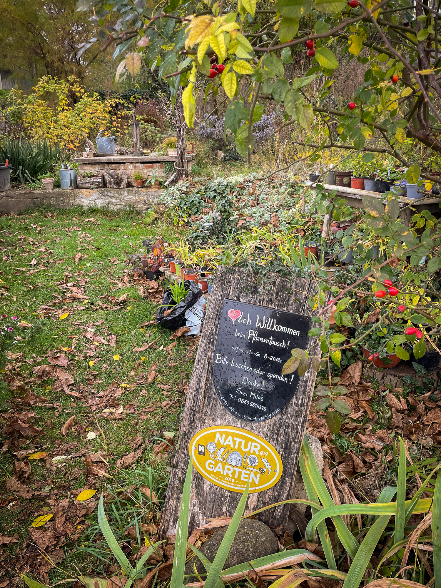 Mit üzen egy szabadon látogatható kert?