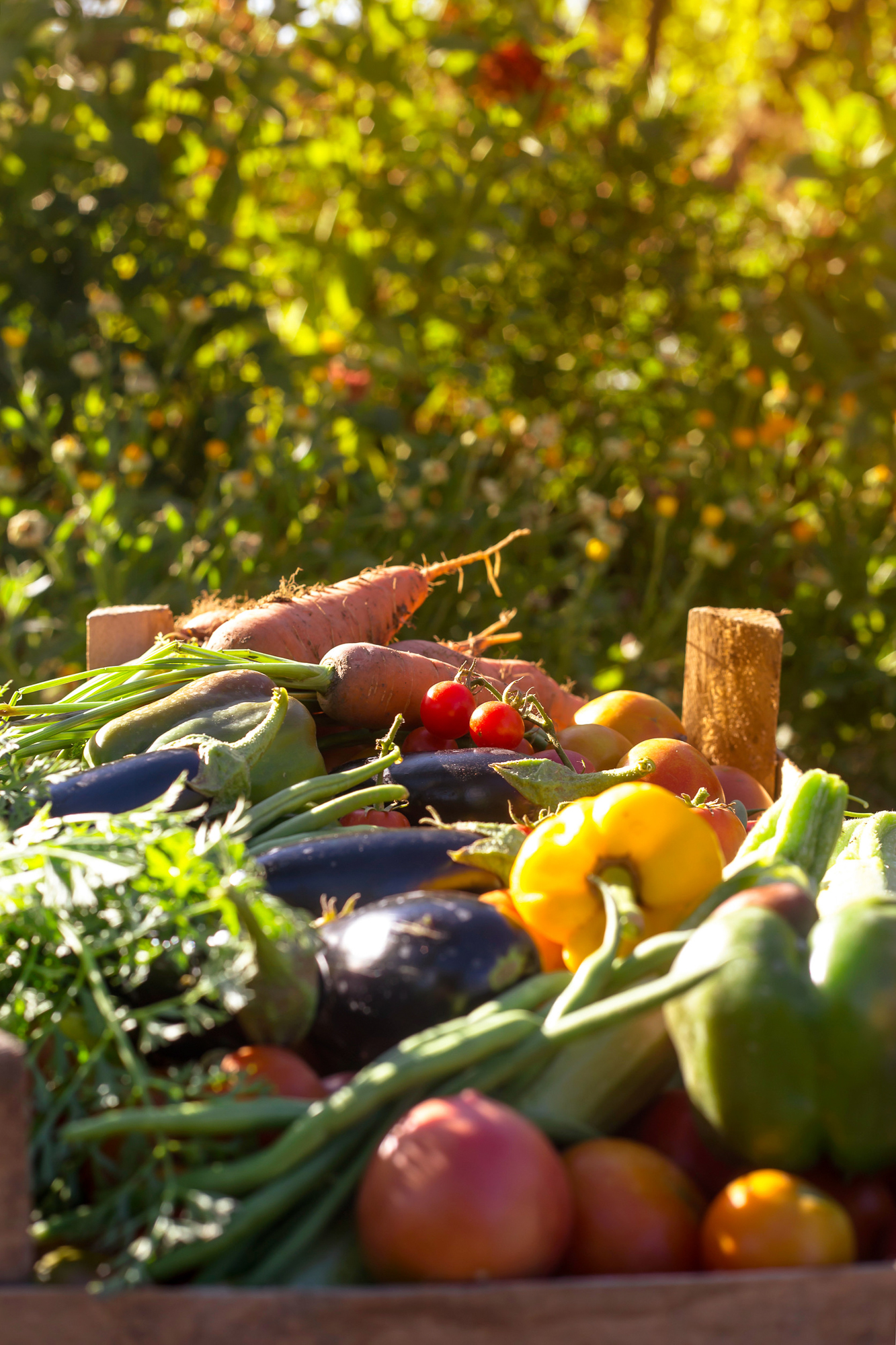 Zöldségeink valódi beltartalmi értékei