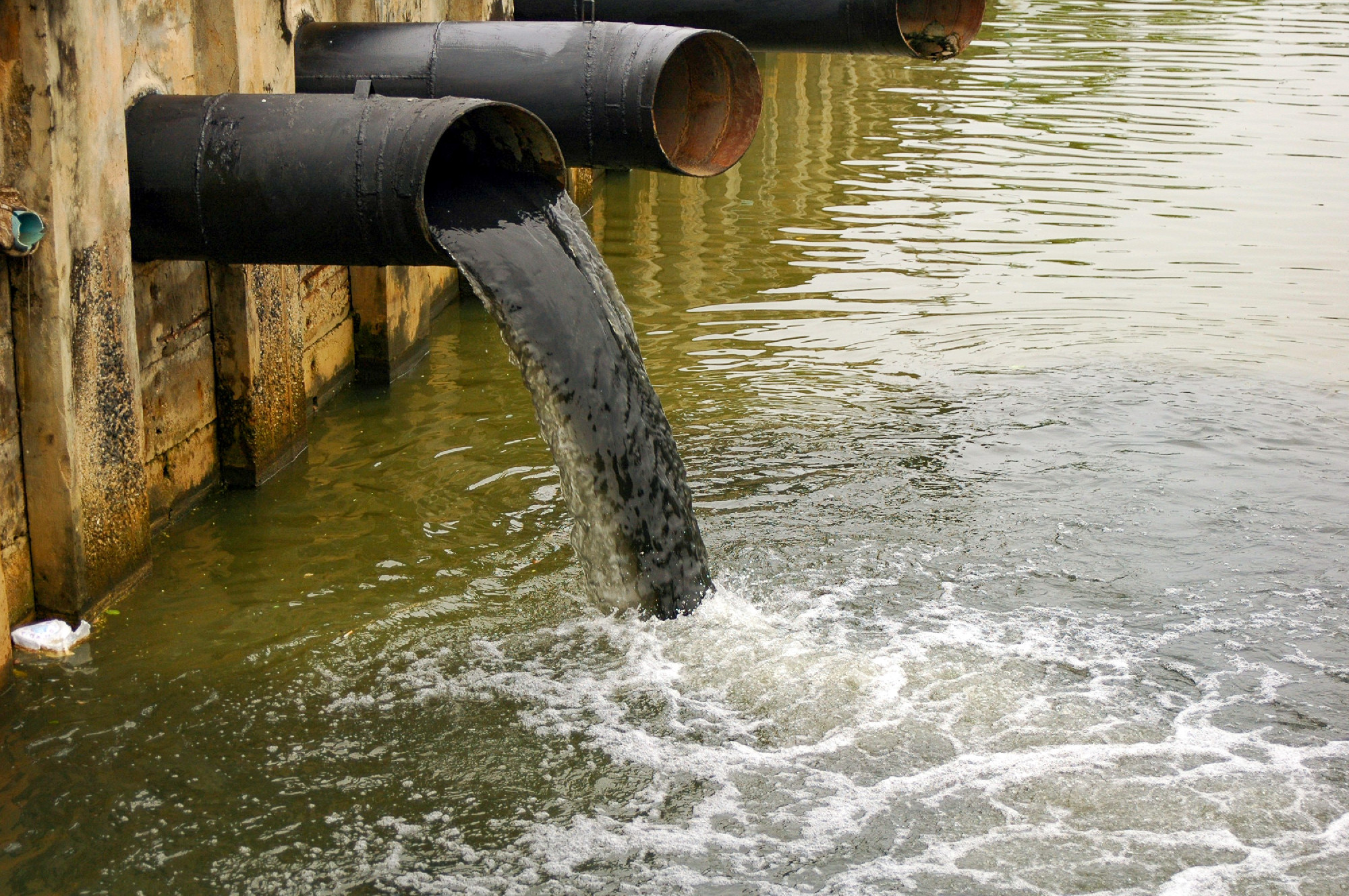 Az október 30.-i Cleaneco/Bibo kvíz nyertesei