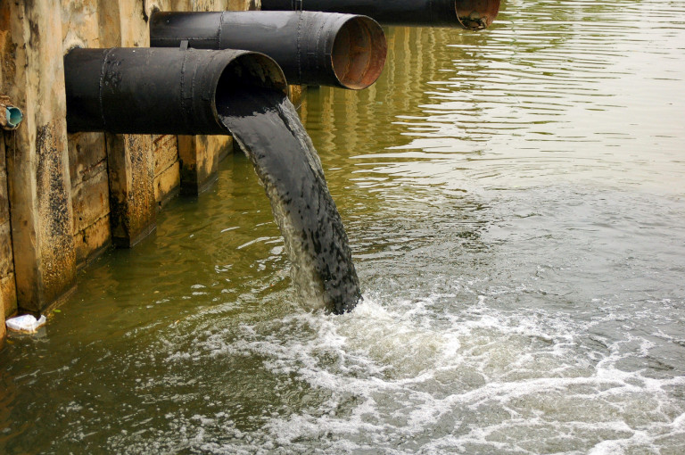 Az október 30.-i Cleaneco/Bibo kvíz nyertesei