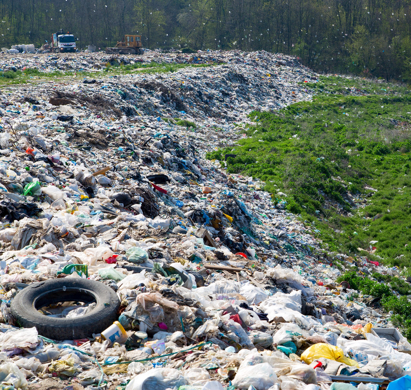 Az október 30.-i Cleaneco/Bibo kvíz nyertesei