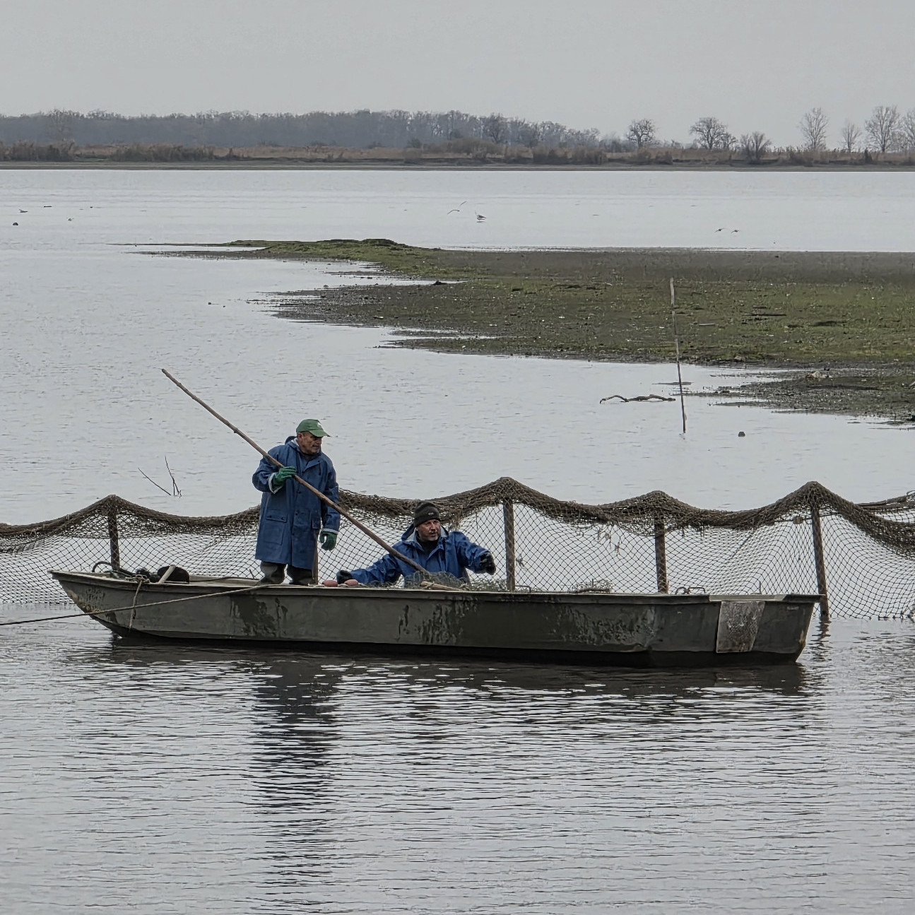 Több halat az asztalra! 