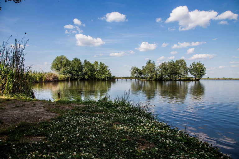 Több halat az asztalra! 