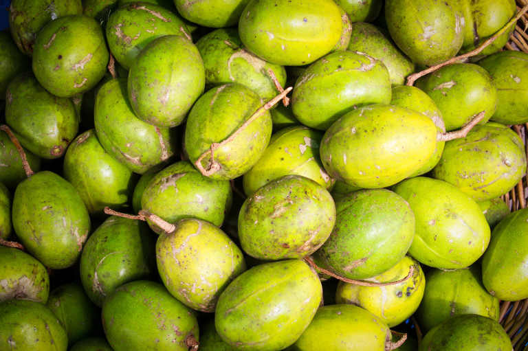 Kopasz, bajor és arany kivi