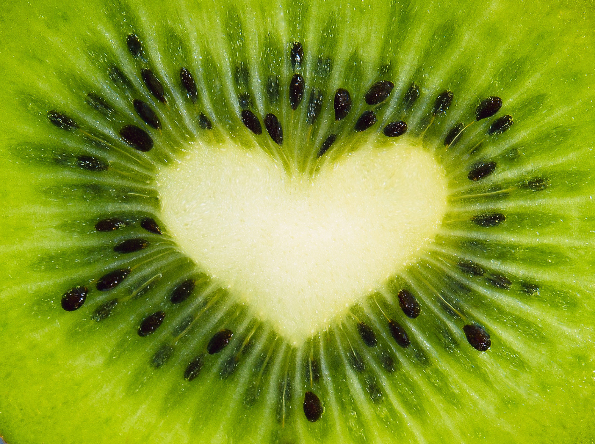 Kiwi fruit on background
