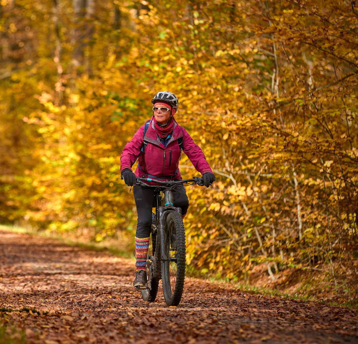 Az európai kerékpárutak ékköve: a Pilis