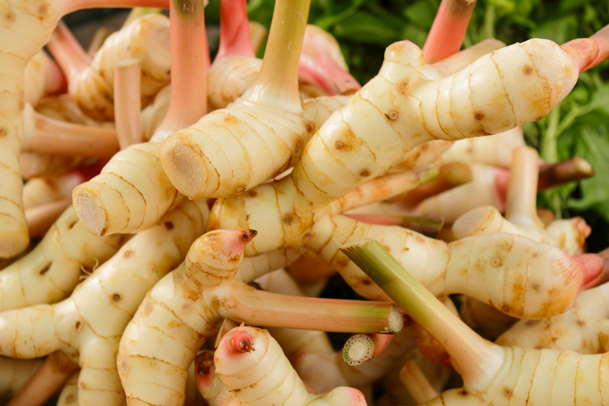 Natural herb and food ingredients