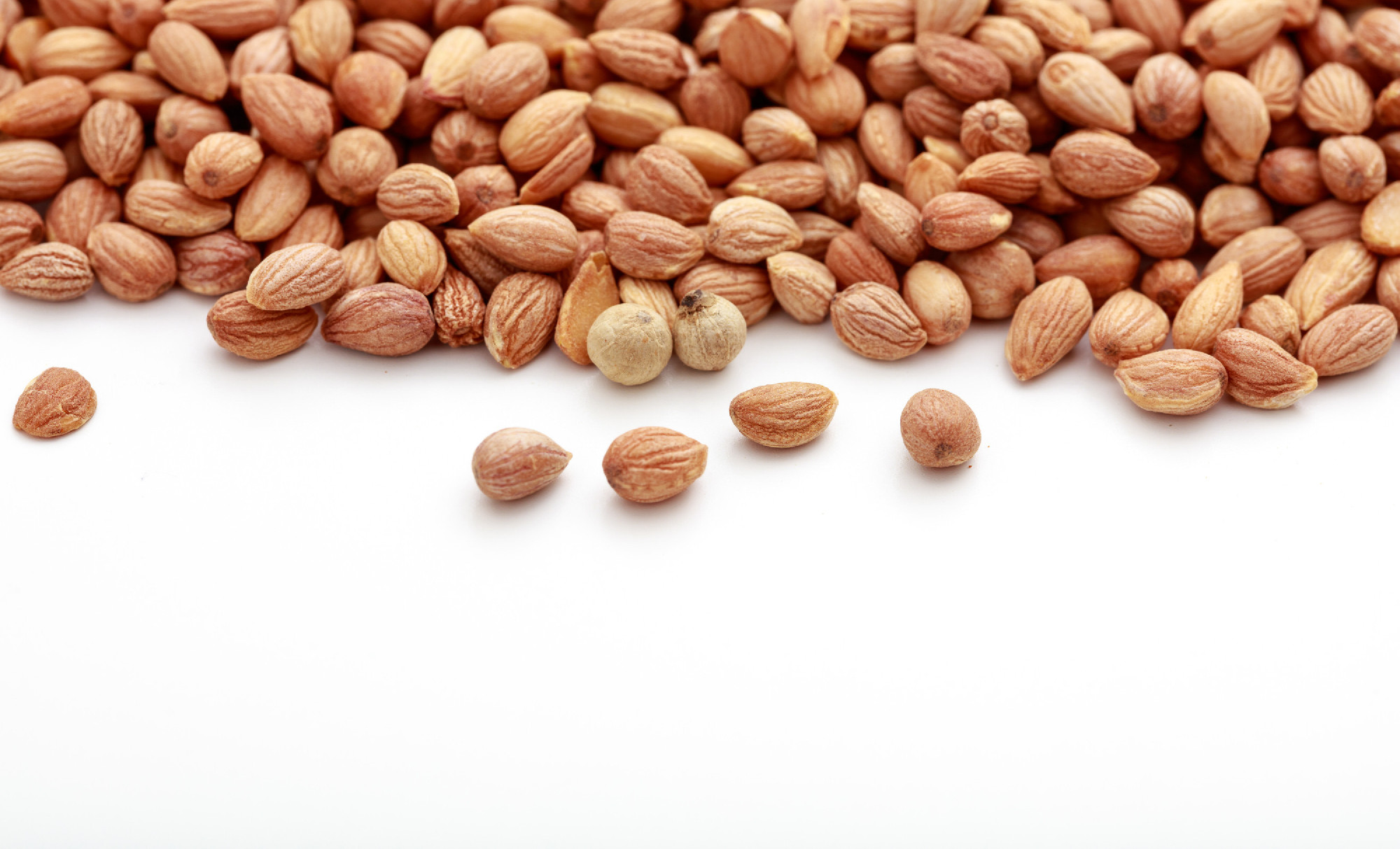 Mahlab seeds on white background