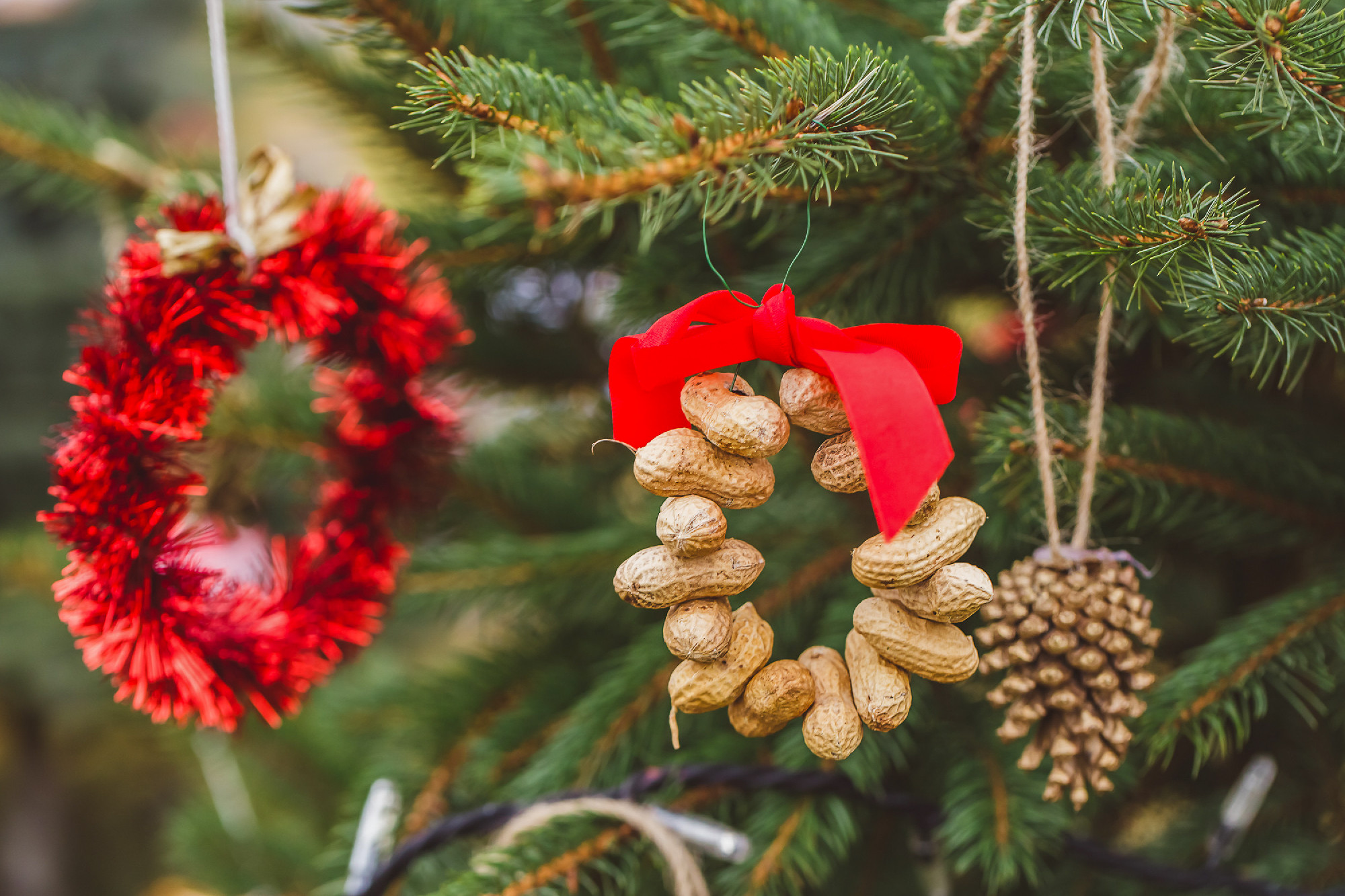 Díszítsünk természetesen - a természettel!