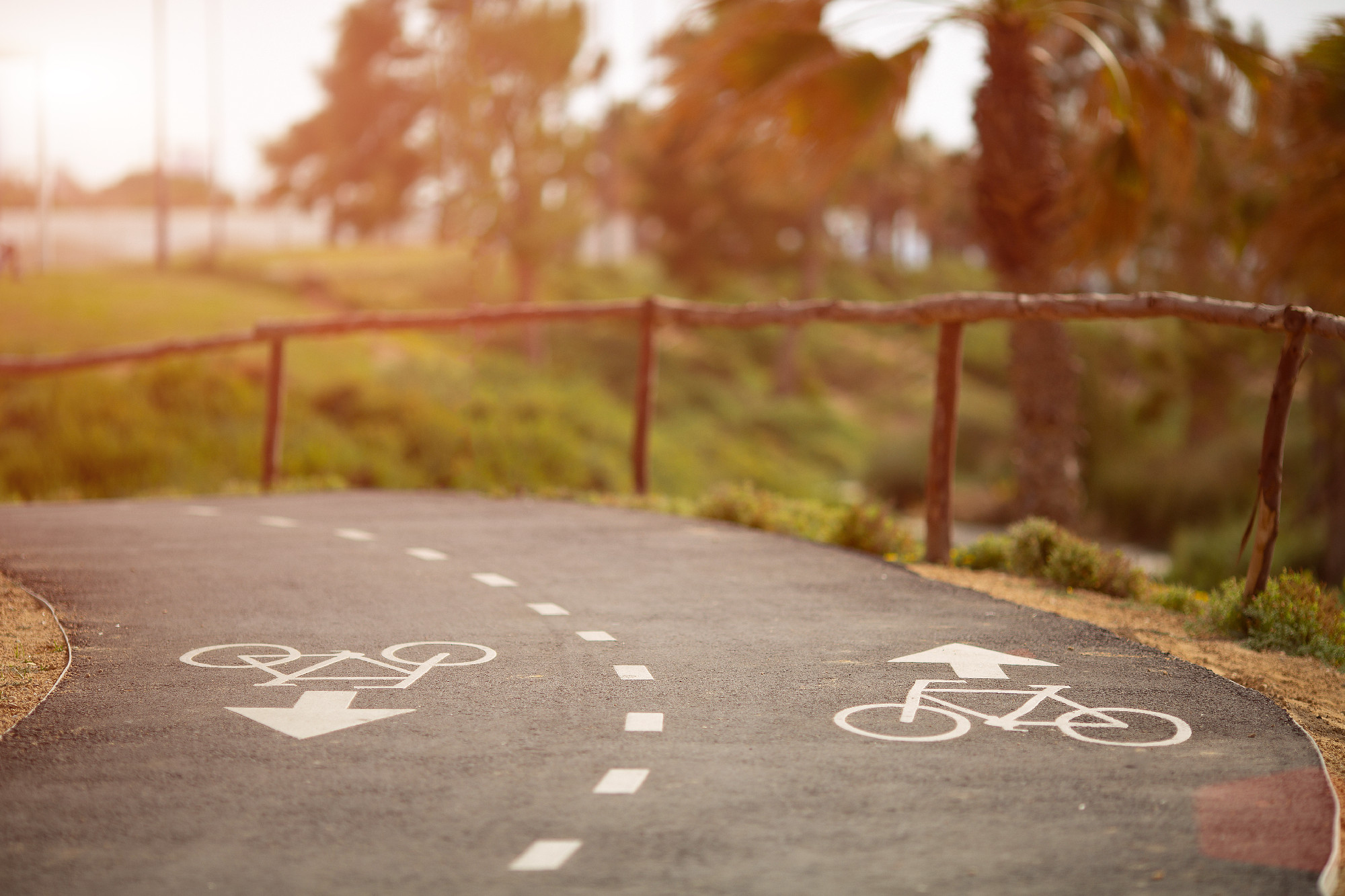 Bicycle road sign and arrow