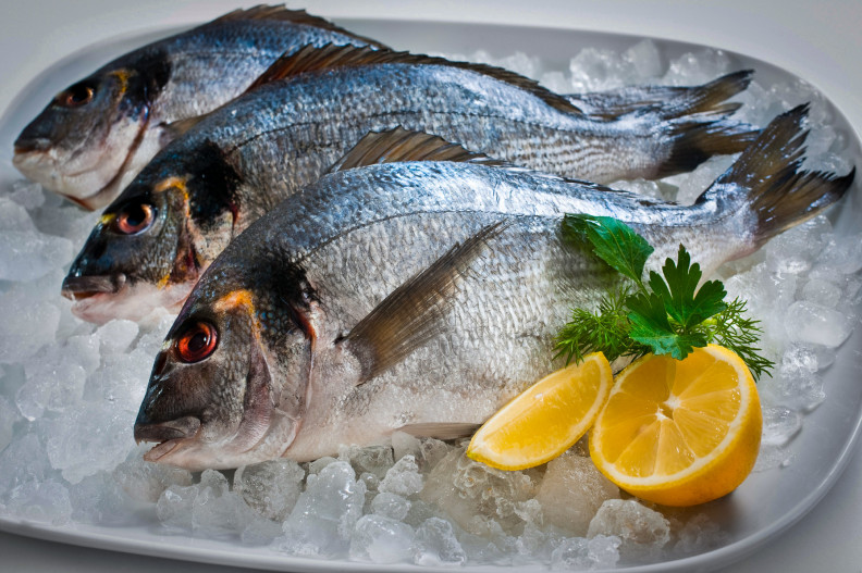 Különleges és népszerű halak és osztrigák