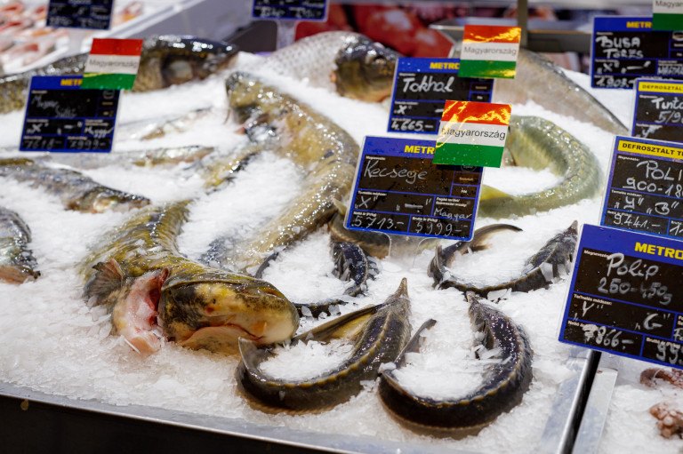 METRO kvíz és nyereményjáték! 