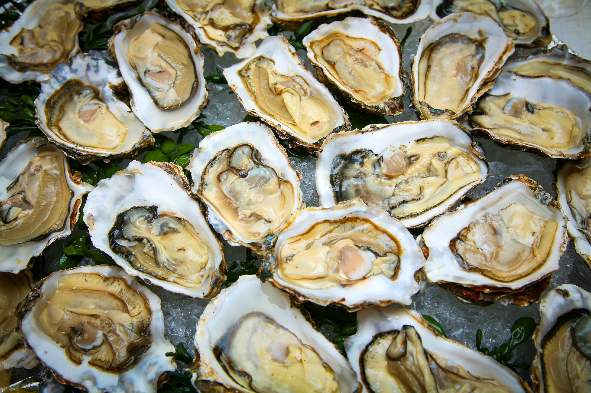 METRO kvíz és nyereményjáték!