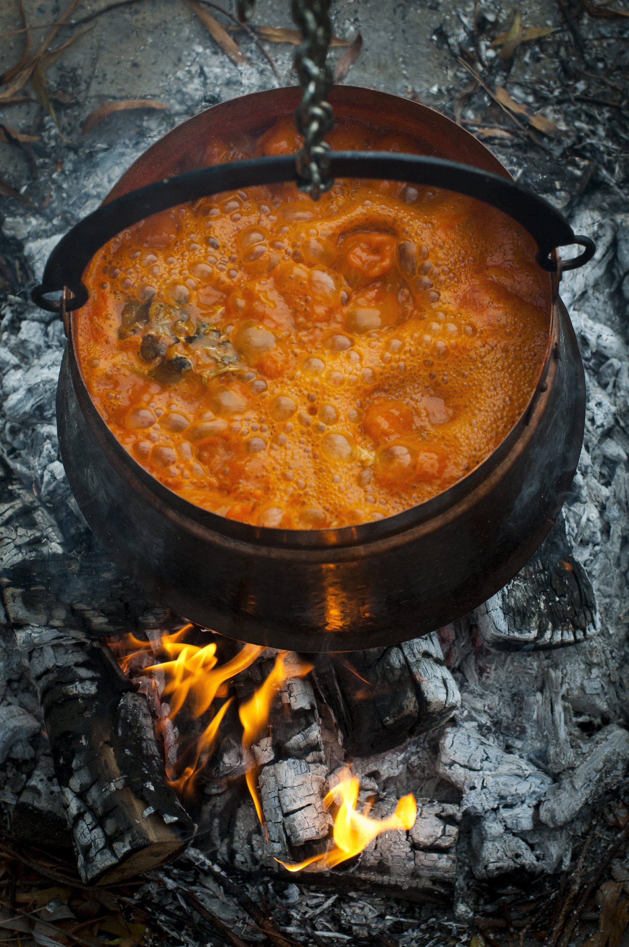 Ünnepi halételek készítése hazai halakból