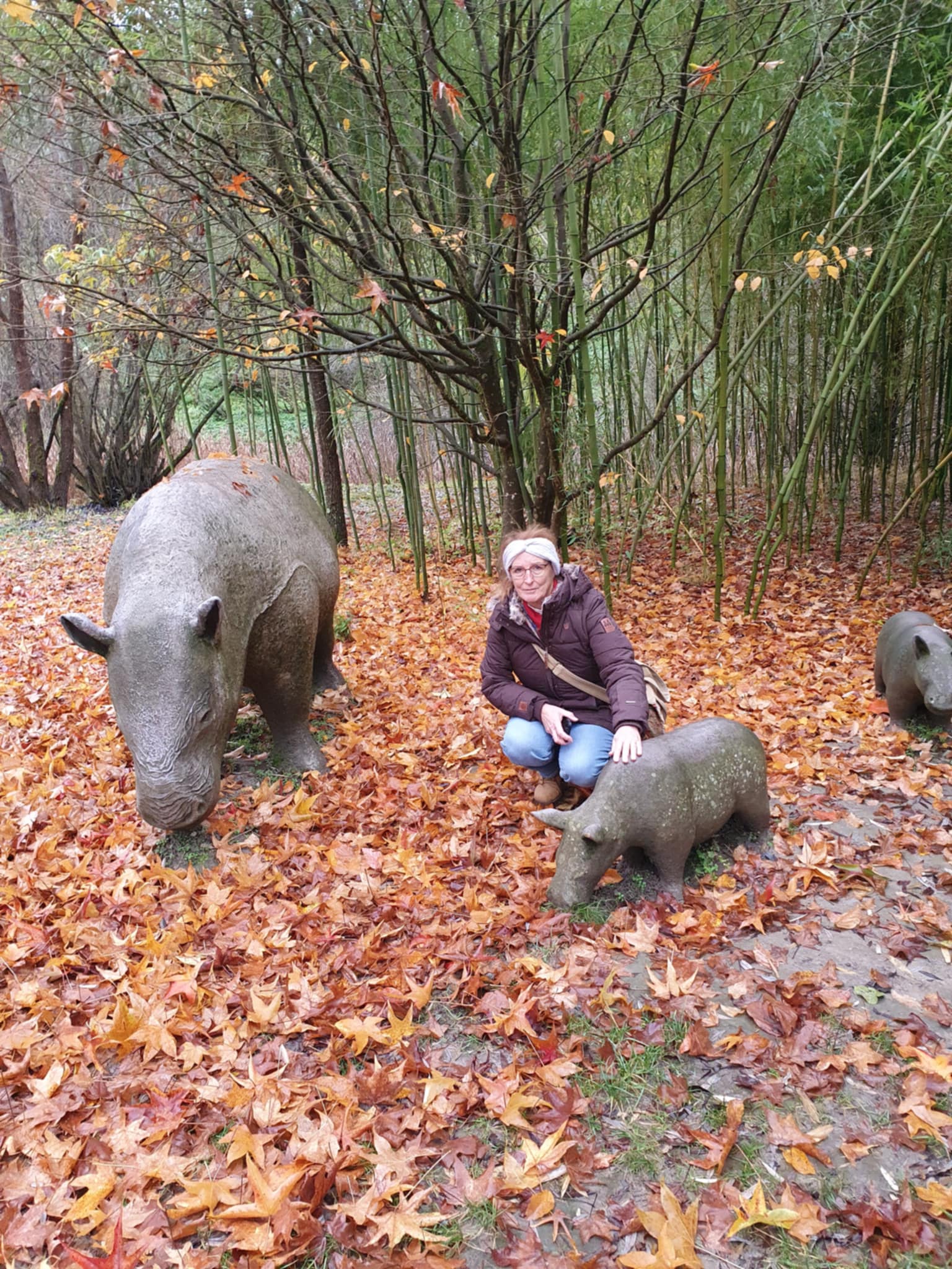 A tarnóci bestia a micéliumerdőben és a Palóc Pompei kőbe vésett üzenetei