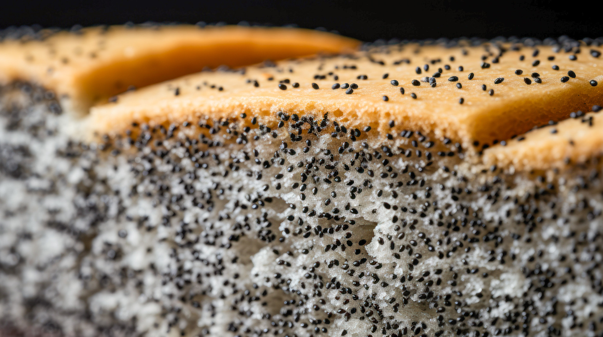 a black and white photo of a black and white photo of a black a