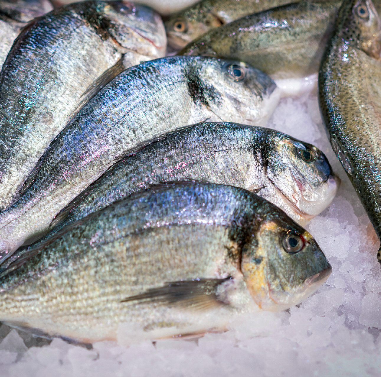 Hazai halat az asztalra!