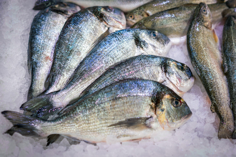 Hazai halat az asztalra! Kvíz. 