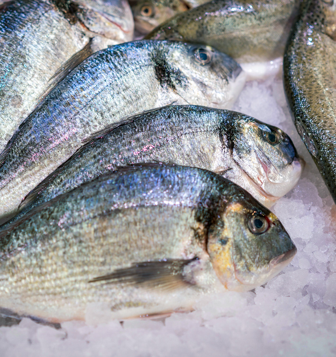 Kvíz a halfogyasztás pozitív hatásairól