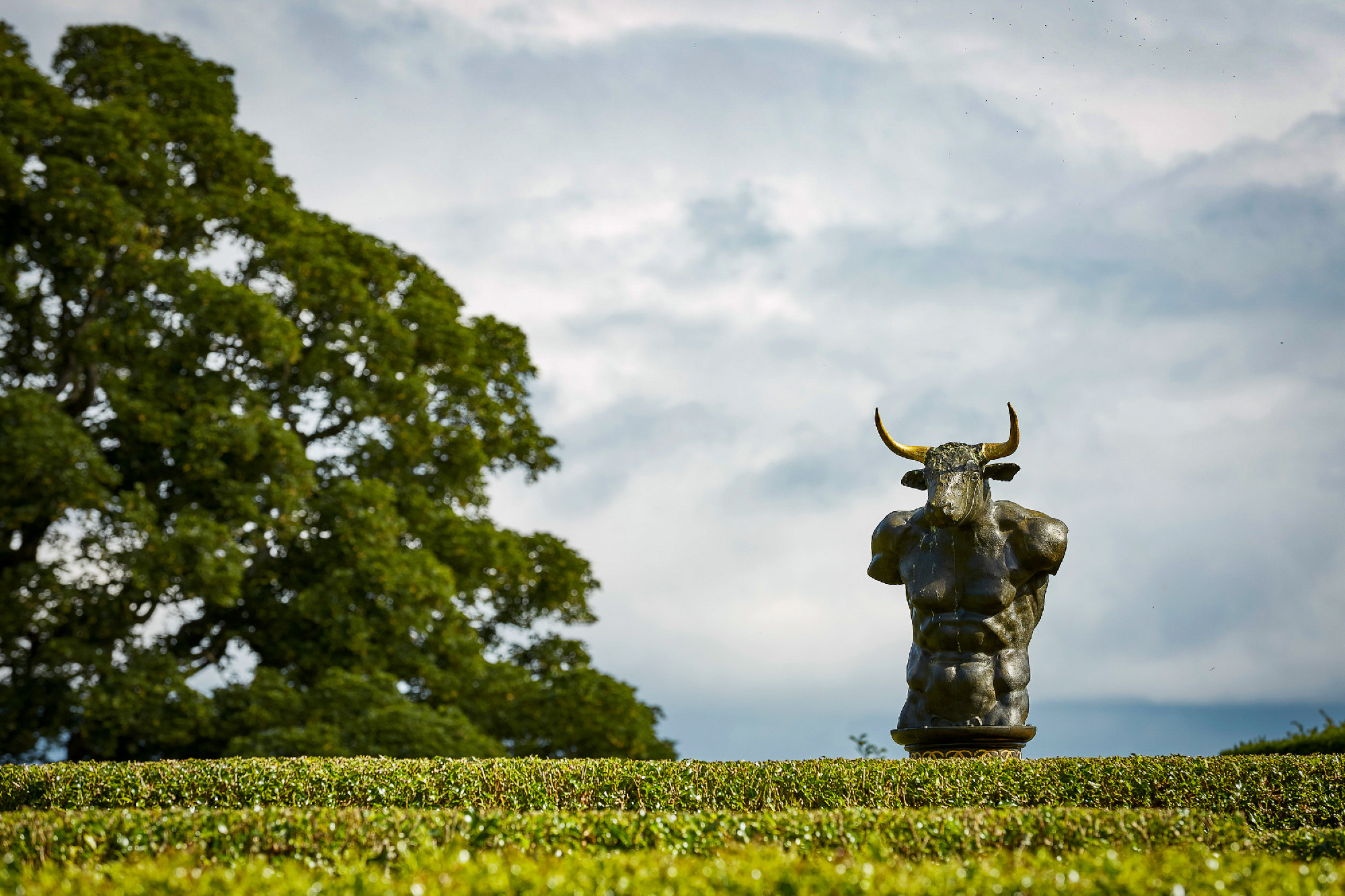 Labyrinth maze of Holly hedges in the Walled Garden of Cawdor Ca