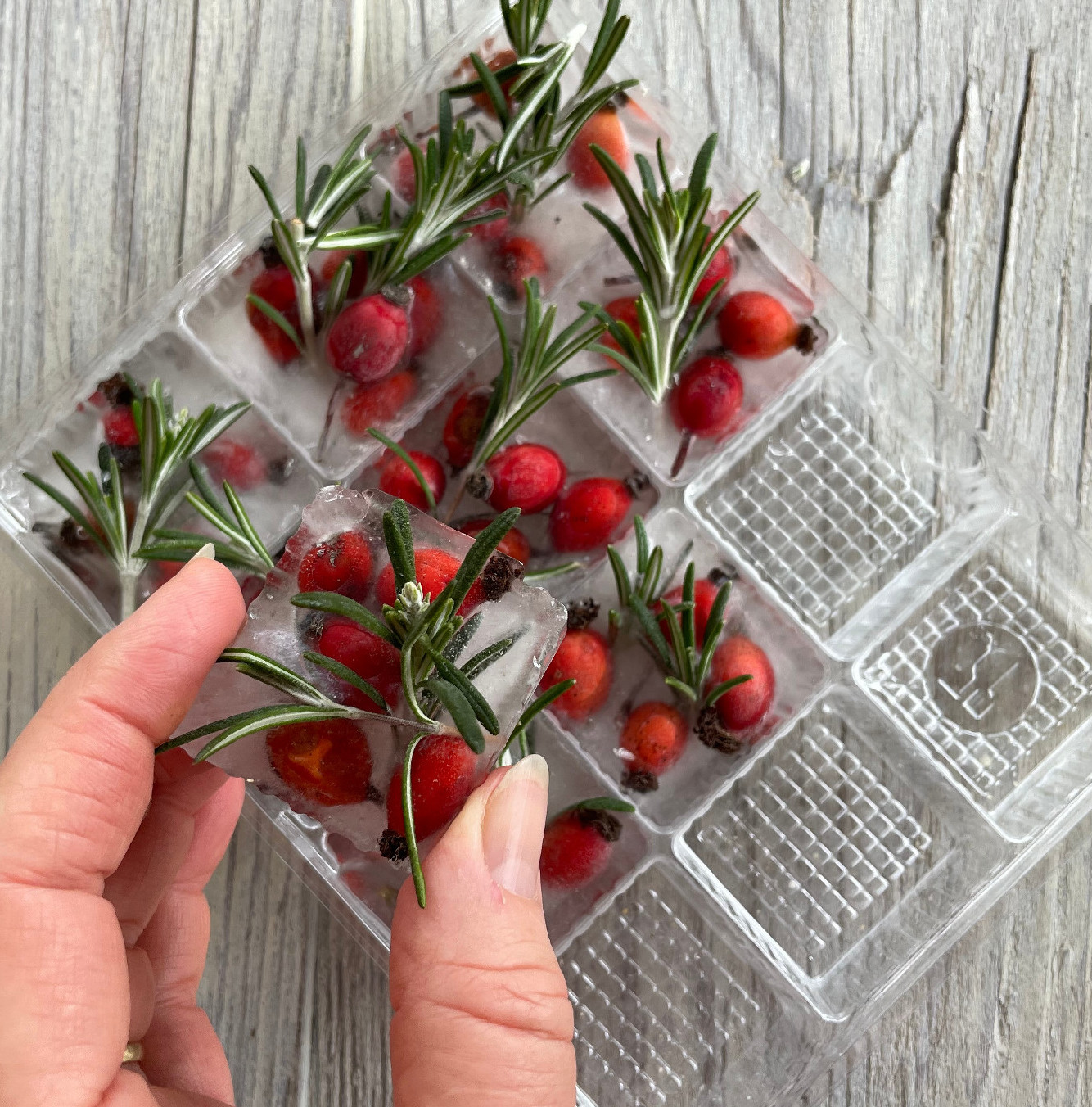 A rozmaring az ünnep új örökzöldje