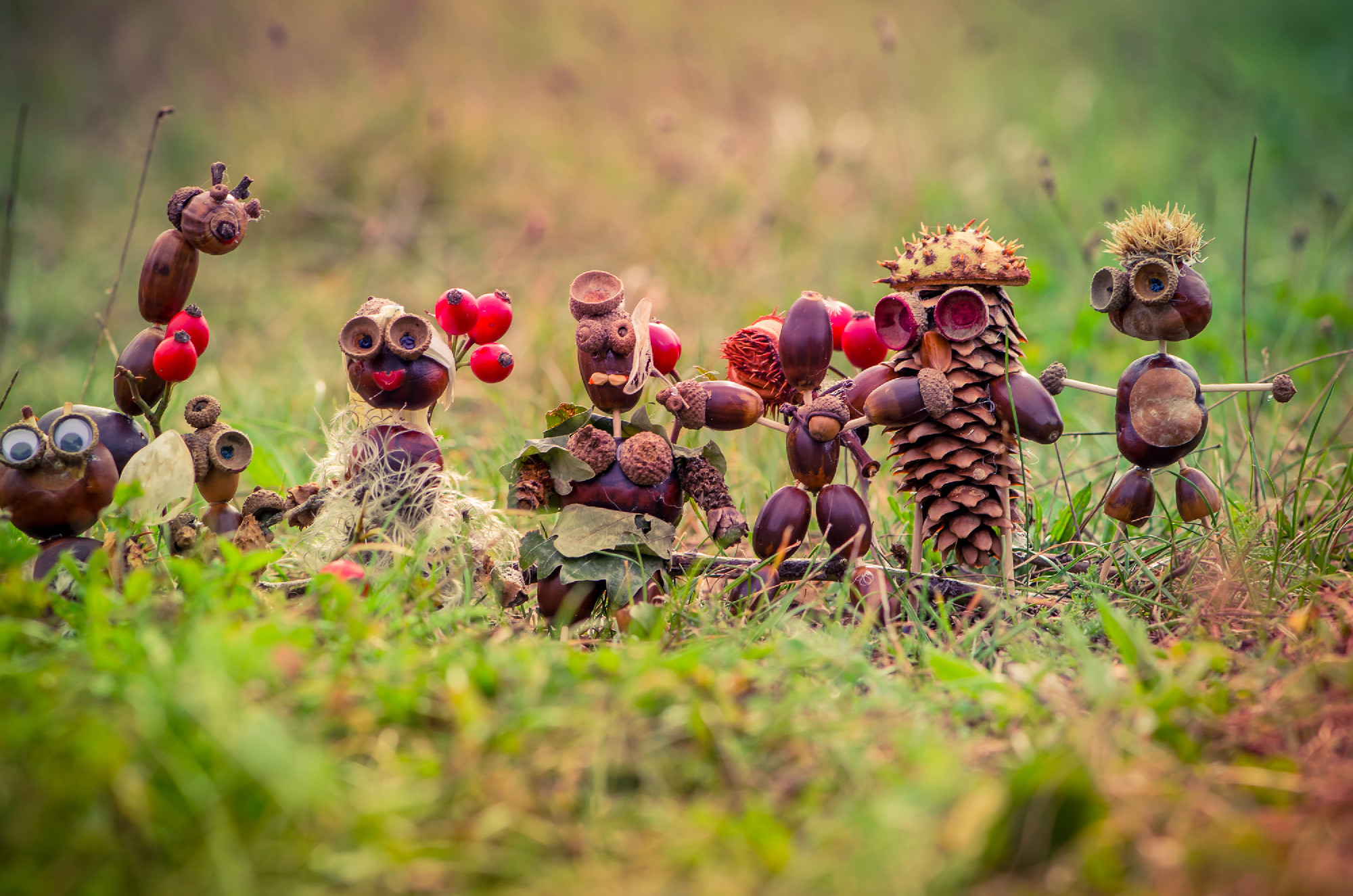 group of chestnut figures in grass