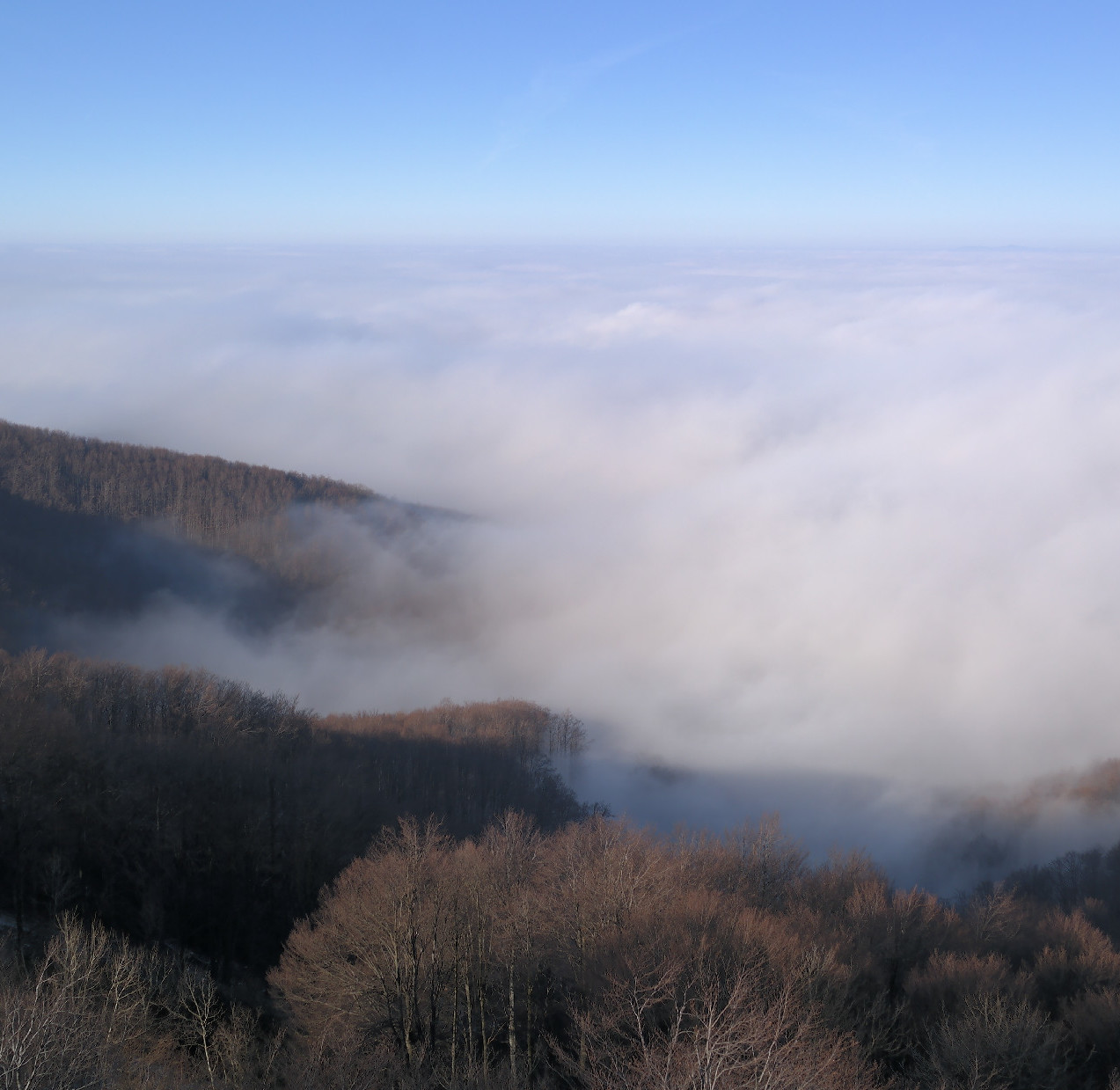 Szürkeségből a napfénybe  avagy mi van a felhők felett? 