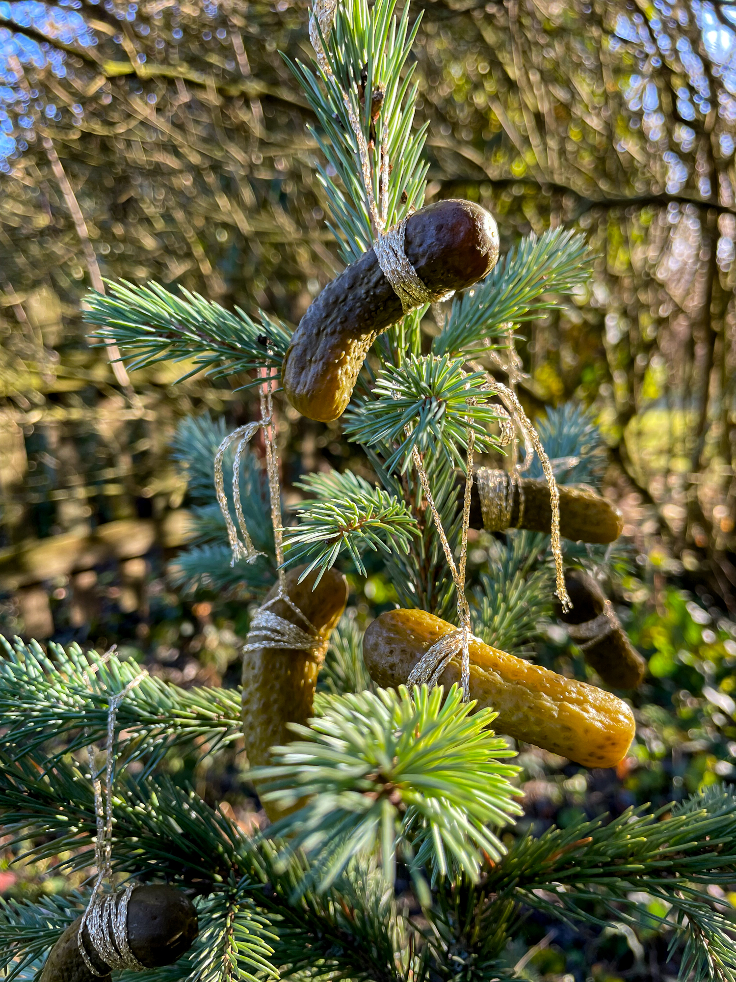 Uborka a karácsonyfán