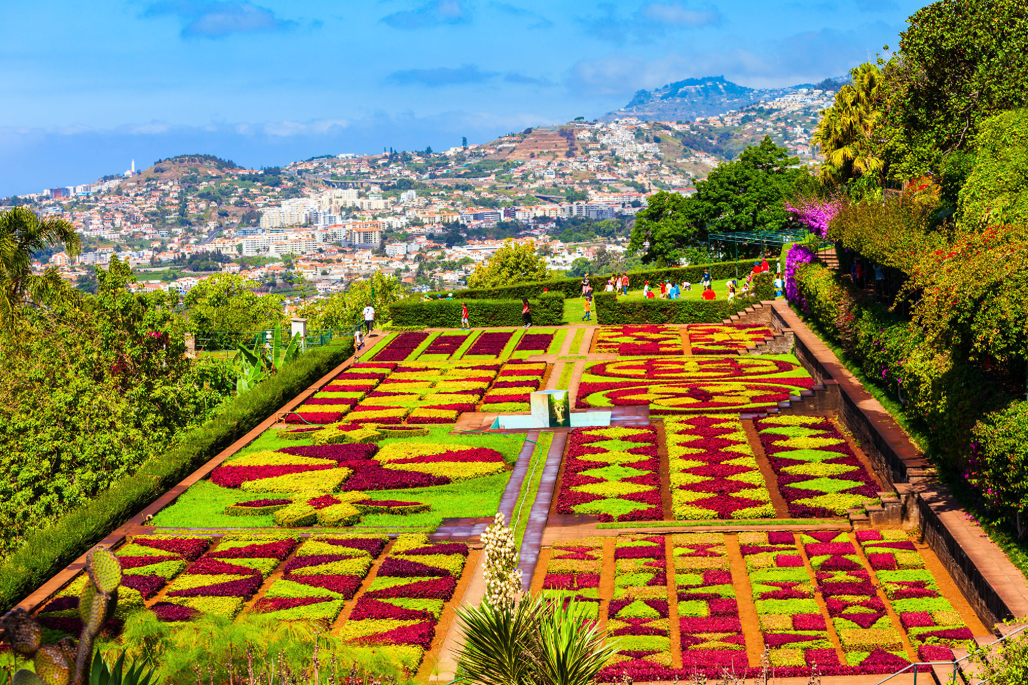 Madeira botanikus kertje