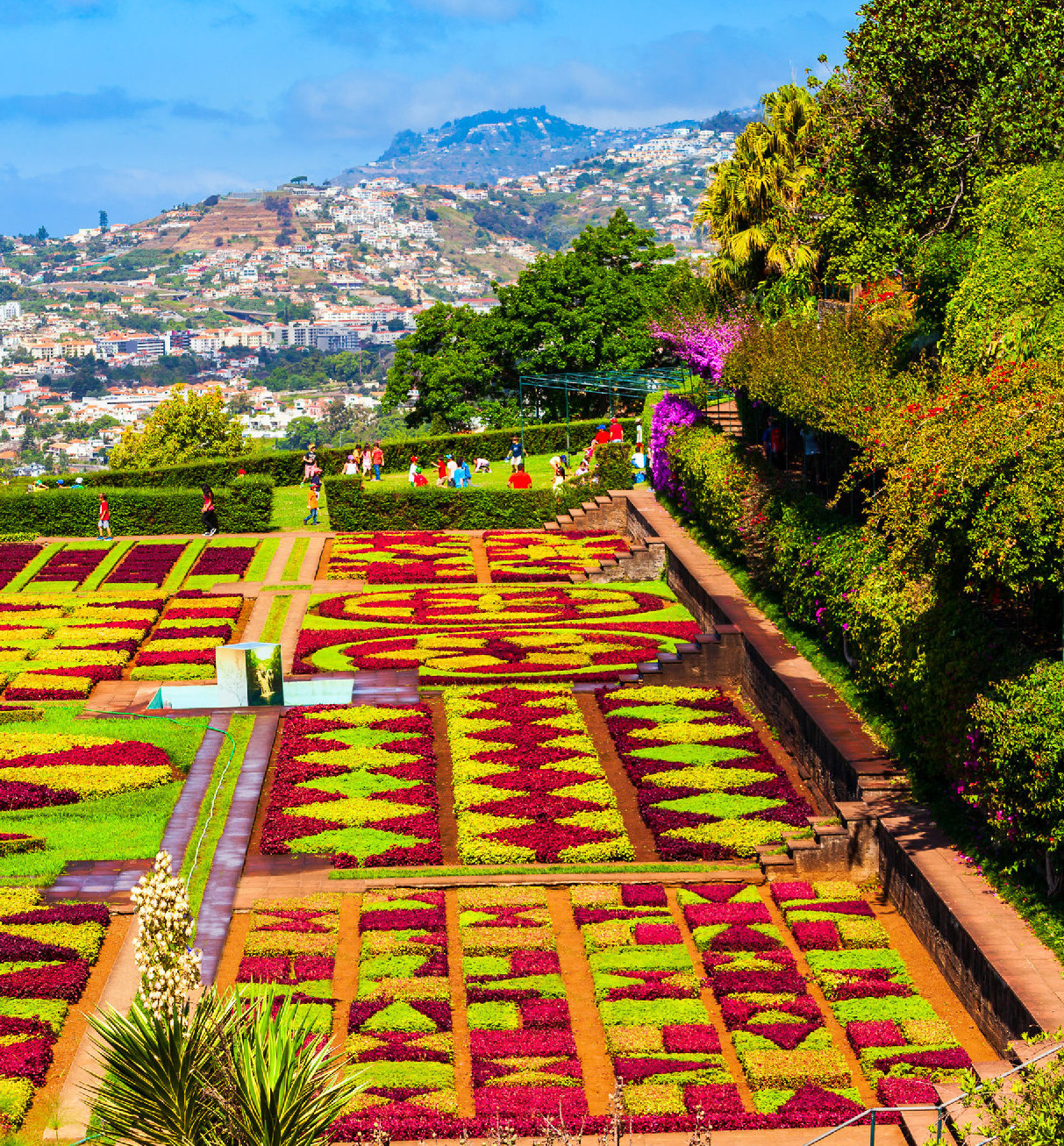 Madeira botanikus kertje