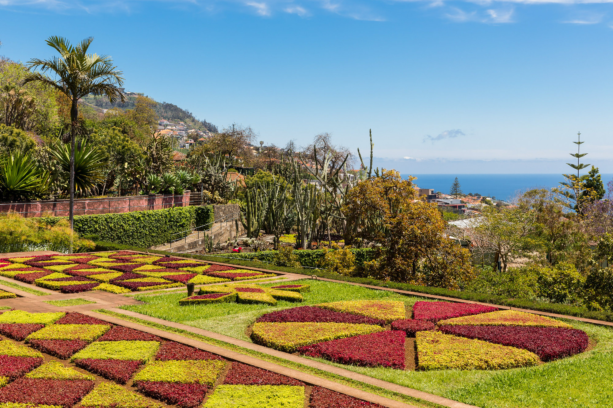 Botanical garden of Funchal at Portugese Madeira Island