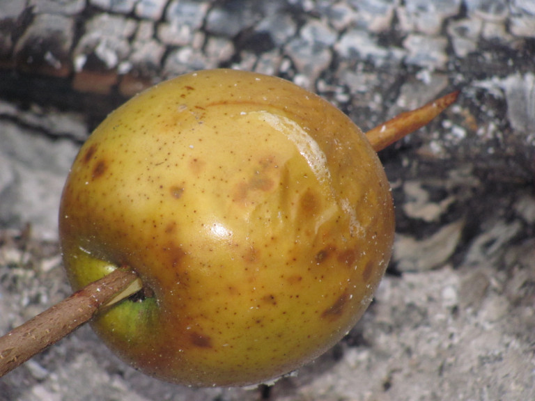 Sült almák téli rejtélye