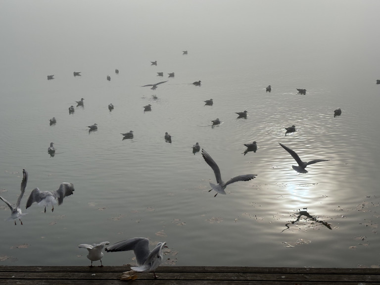 Advent a Balaton partján