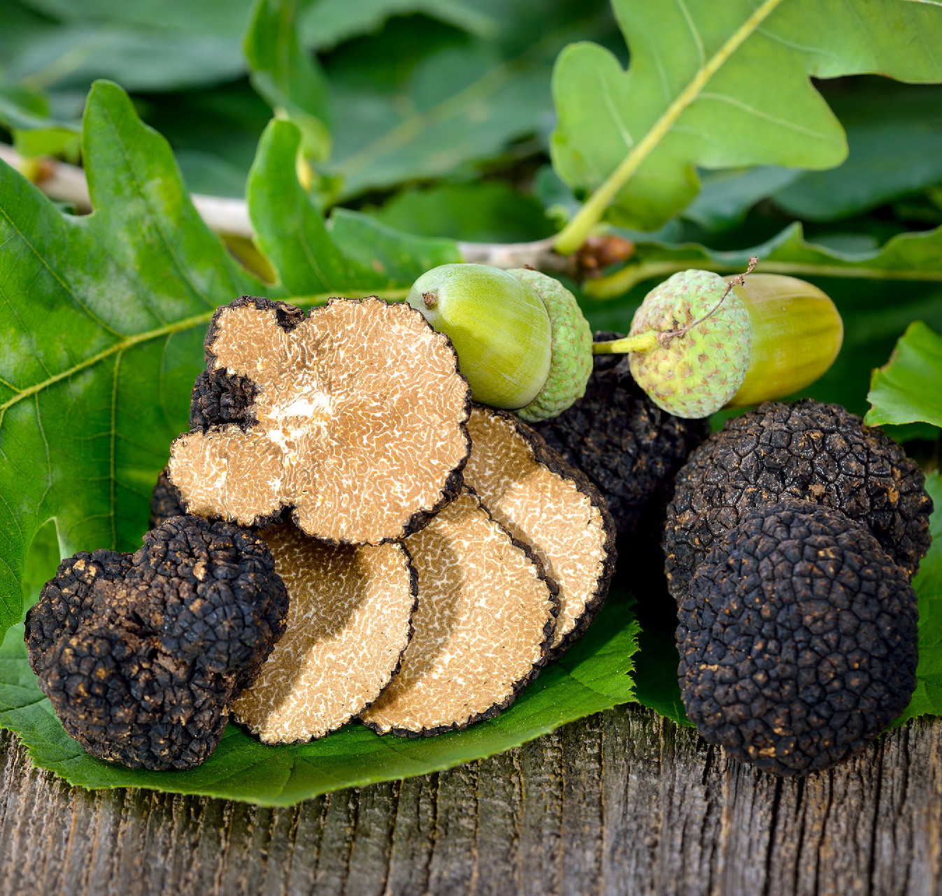 Az édes anyaföld ízeinek esszenciája