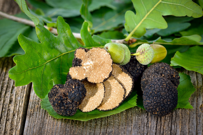 Az édes anyaföld ízeinek esszenciája