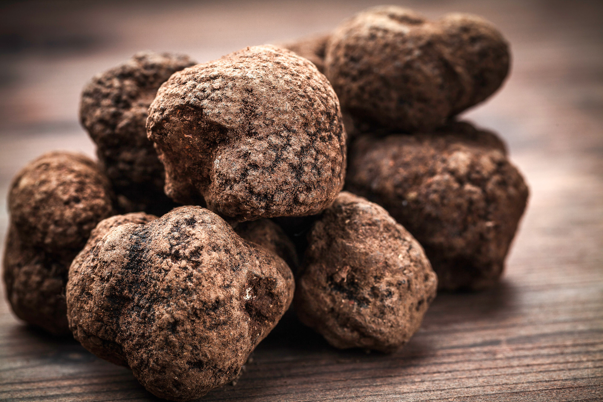 mushroom black truffle