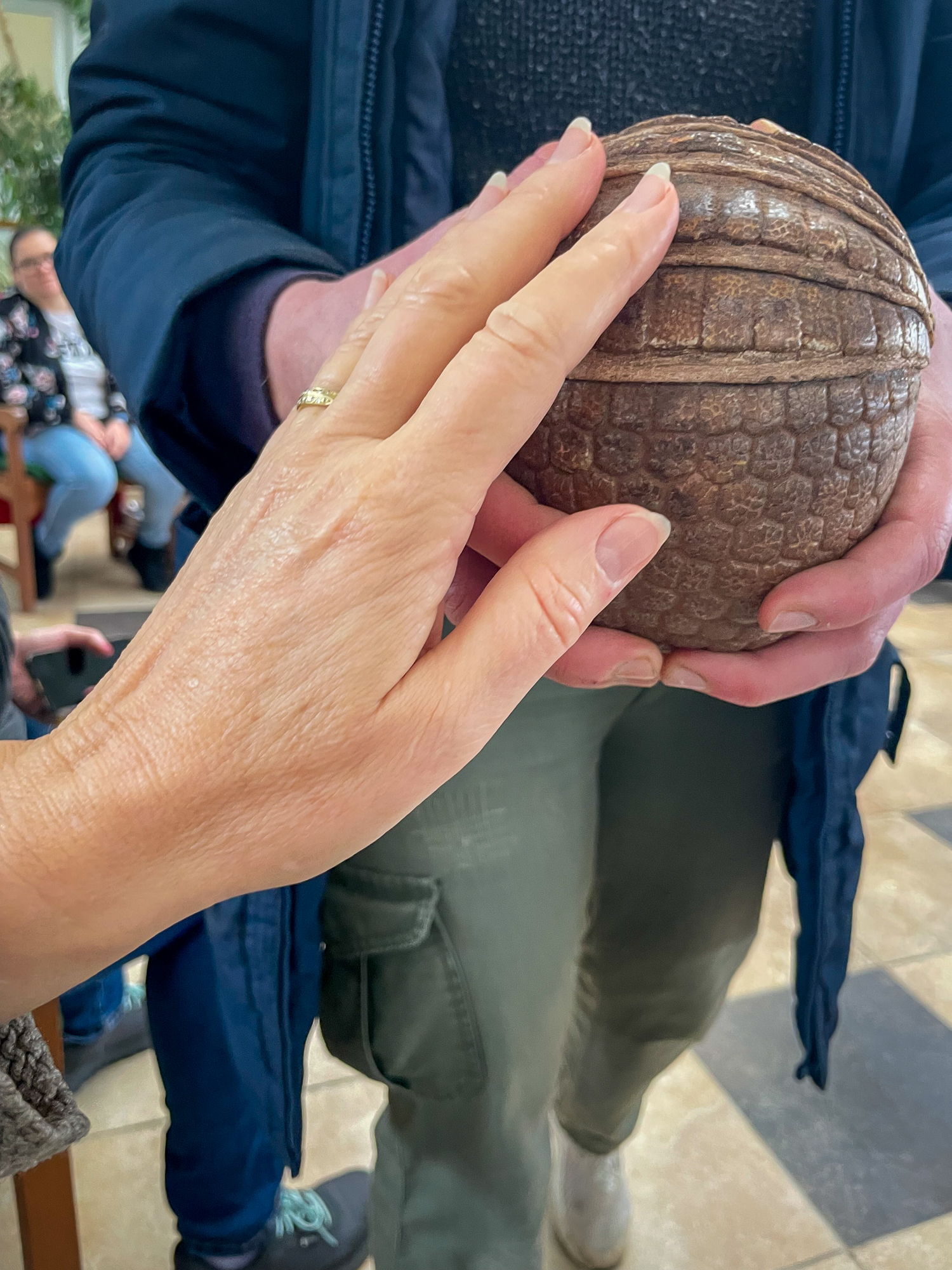 Pingvinséta a százszorszépes mezőn